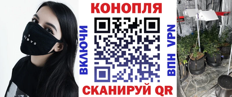 Шишки марихуана гибрид  купить наркотики сайты  Озёрск 